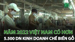 Năm 2022 Việt Nam có hơn 5.500 DN kinh doanh chế biến gỗ | VTC14