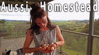 Weekend on the Homestead: New Animals, Abundant Harvest, and Delicious Treats