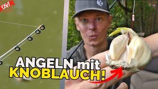 ALTERNATIV KÖDER! Fange mit KNOBLAUCH! OSA in Mission Angeln