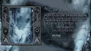 WOLVES IN THE THRONE ROOM - Twin Mouthed Spring (Official Audio)