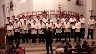 Sverdlovsky Male Choir College/Rußland: Polet shmelya (Hummelflug), EJCF Basel 2012