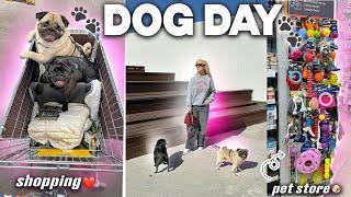 DOG DAY VLOG! 24 часа ВМЕСТЕ! Прогулка, Зоомагазин и ПЕРВЫЙ ШОПППИНГ в Лента С СОБАКАМИ!