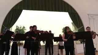 FESTIVIOLA 2022 Shenandoah