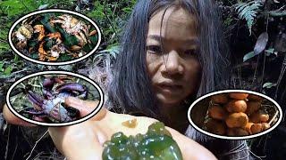 To Survive 100 Days In The Primitive Deep Forest, She Ate Meals Like Roasted Moths And Grilled Crabs