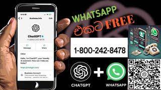 Whatsapp එකට ආව Chat GPT|Chat gpt To Whatsapp Sinhala  #whatsapp #chatgpt #trending #2025 #tips