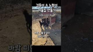 검둥아 이번 겨울은 따뜻할거야 #강아지#반려견#겨울집#사지말고입양하세요#dogs#pets#adoption