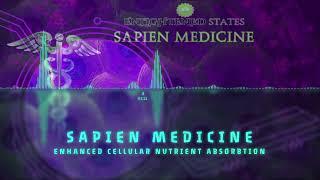 Enhanced Cellular Nutrient Absorption ( Energetic Programming Audio )