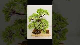 Gifts and souvenirs:Tree of Life seed beads bonsai tree in a driftwood with led lights.