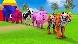 Paint & Animals Duck,Gorilla,Lion,Elephant,Cow,Sheep Fountain Crossing Transformation Animal Cartoon