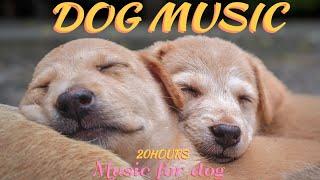 20 HOURS of Deep sleep DogMusicDeep Separation Anxiety Music for Dog Relaxation! healingmate