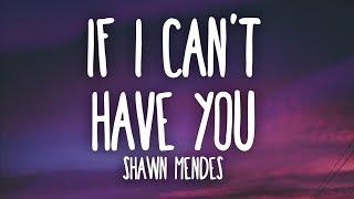 Shawn Mendes - If I Can't Have You (Lyrics)