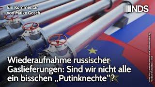 Wiederaufnahme russischer Gaslieferungen: Sind wir nicht alle „Putinknechte“? | Maike Gosch | NDS