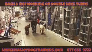 Lehigh Valley Dog Trainers ||| OLK9 Lehigh Valley ||| Off Leash Double Heel w/ Bash & Sisi