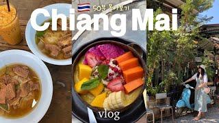  치앙마이 여행 | 왕복26만원! 이대로 가면 대성공 로컬 맛집, 핫플, 쇼핑, 숙소 총정리 | 올드타운, 님만해민 | 태국여행 브이로그 몰아보기 Chiang Mai vlog