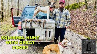 Squirrel Hunting With Good Dogs