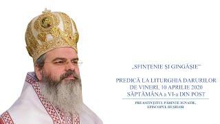 „Sfințenie și gingășie” – PS Ignatie