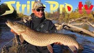 Strike Pro TV - TARGET AMUR (Amur Pike Fishing in Eastern Russia)
