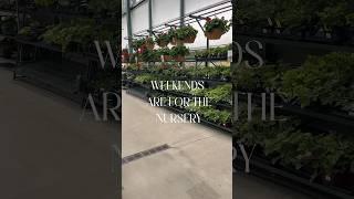 Come visit the nursery with me 