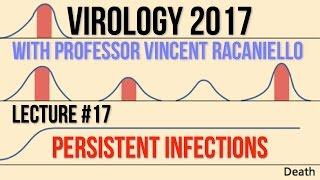 Virology Lectures 2017 #17: Persistent Infections