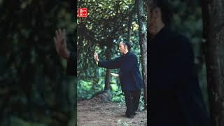 武当八卦掌第14集掌法教学（4）第3掌（Wudang Kungfu Bagua Palm Teaching）