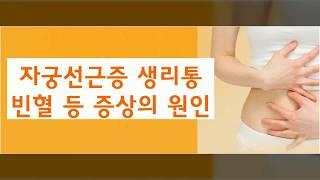 자궁선근증 생리통 생리과다 성교통 등 증상의 원인