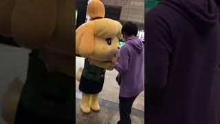 Isabelle / Shizune finds a plushie of herself