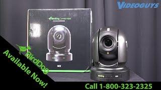 BirdDog Eyes P200 Full NDI PTZ Camera | Videoguys Product Spotlight