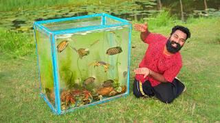 Beautiful Aquarium Made From Nature | തോട്ടിലെ സാദനങ്ങൾ ഉപയോഗിച്ച് ഉണ്ടാക്കിയ അക്വാറിയം | M4 Tech |