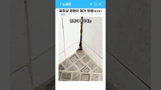 화장실 곰팡이 청소 방법