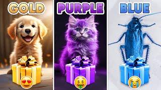 Choose Your Gift...! Gold, Purple or Blue ⭐️ How Lucky Are You?  Quiz Shiba