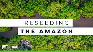 Meet The Indigenous People Regenerating The Rainforest | Xingu Seeds Network | RE:TV