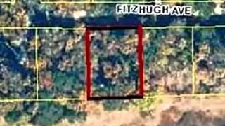 Homes for Sale - 23136  FITZHUGH AVE Ave 1660 - Brooksville, FL 34601 - Shampi Bedi