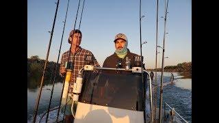 Lower Colorado River Fishing