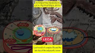 Amazing Research | Protosterol Biota | Last Eukaryotic Common Ancestor LECA |  Lost World #shorts