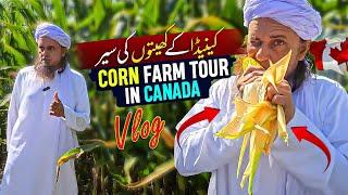 Canada Corn Farm Visit - Mufti Tariq Masood Vlog