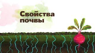 20. Состав и свойства почвы. Окружающий мир - 2 класс