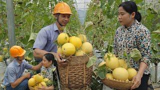 A kind man came to the house to help his single mother harvest cantaloupe - dientieuca