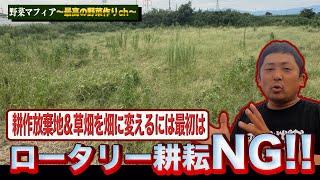 【耕作放棄地】雑草の生えた場所を畑に変えるには・・・