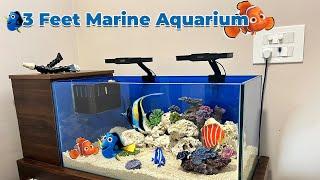 3 Feet Marine Aquarium build by Vedha Fish Farm