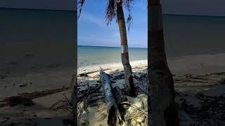 no beach left