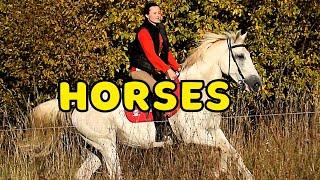 How Russian girls ride a horse