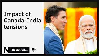 Breaking down the impact of the Canada-India tensions