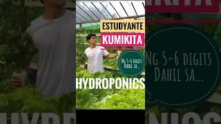Hydroponics Farming Idea #rooftop #gardening #backyardgardens #rooftopgarden #garden #urbangarden