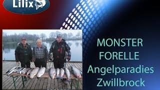 MONSTER FORELLE Angelparadies Zwillbrock