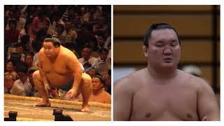 The secret to Hakuho's success: (1) The role of Ryuo