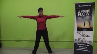 gina lim zhineng qigong sequence 7 1st part, Body Mind Method