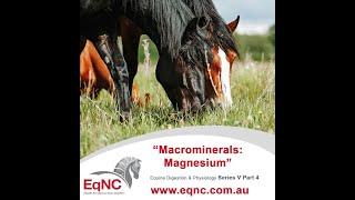 Macromineral - Magnesium