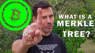 What is a Merkle Tree? - George Levy