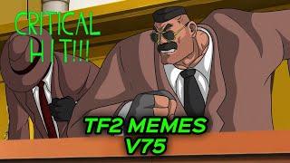 TF2 MEMES V75