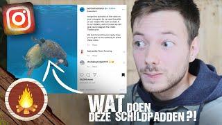 REAGEREN OP VIRAL DIEREN VIDEOS - INSTAGRAM